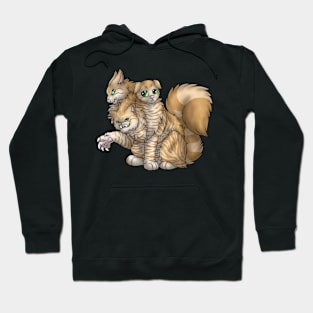 CerPURRus: Cream Tabby Hoodie